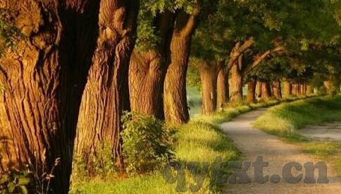 18款禁用软件app糖心视频-verted价值的注视，对18款禁用软件app糖心视频的思考