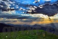 91蜜桃麻豆-夏日诱惑，解锁91蜜桃麻豆的神秘魅力
