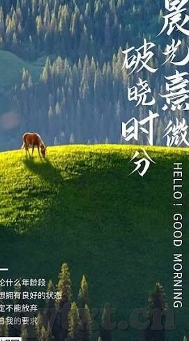 超碰麻豆av-致净心之旅，消除成人内容关键词引发的社会误解与偏见