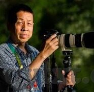 大象传媒隐藏入口-探索大象传媒的隐秘通道，网络文化的深度游历