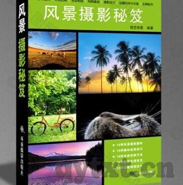 大象永久2021@视频-探索大象的智慧与力量，2021年视频中的非凡见证