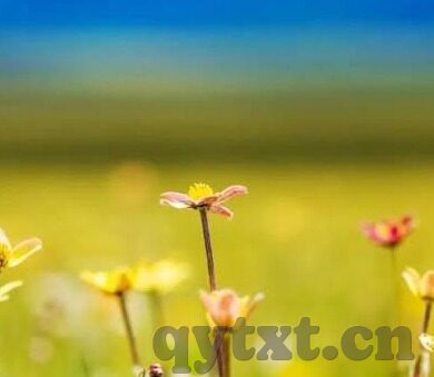 果冻传媒潘甜甜视频-探索果冻传媒潘甜甜视频的背后，网络文化的多元视角