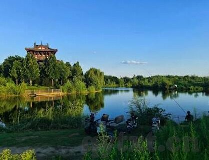 麻豆视频app免费版-探秘网络视频的未尽之境，麻豆视频App免费版的潜能与挑战