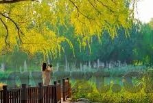 麻豆自制剧情国产app-麻豆自制剧情——国产APP的创意新风向