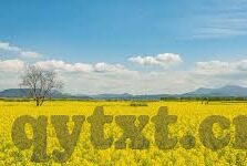 日韩av大片免费看-探索成人娱乐的灰色地带，日韩AV大片的免费观看现象
